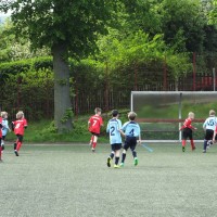 TSV Jugendturnier 2017